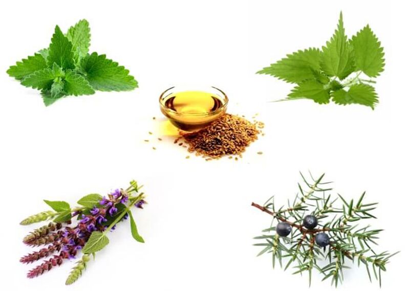 Menta, ortiga, tomillo, enebro y aceite de semilla de lino