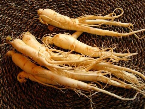 raíz de ginseng para aumentar la potencia después de 60