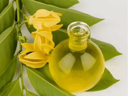 Aromaterapia para mejorar el poder